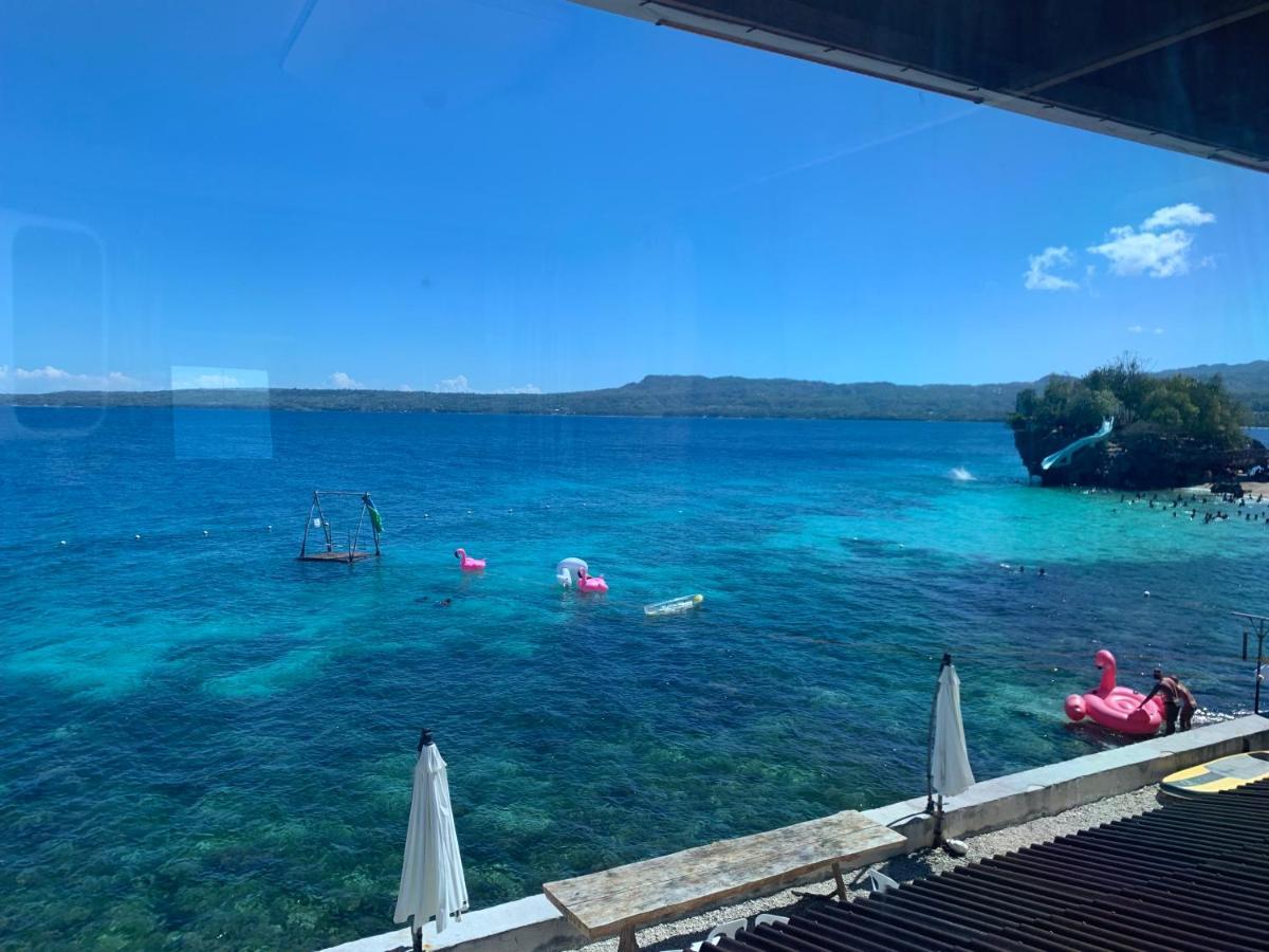 Jelly Sea Siquijor